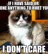Image result for No Funny Grumpy Cat