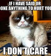 Image result for Cat Memes Grumpy Cat