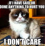 Image result for Grumpy Cat Tuesday Meme