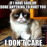 Image result for Cute Grumpy Cat Memes