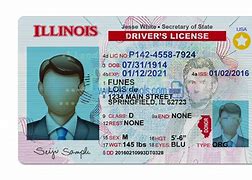 Image result for IL Driver's License