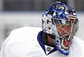 Image result for NHL Goalie Helmets