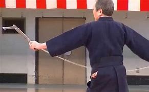 Image result for Chain Weapons Martial Arts