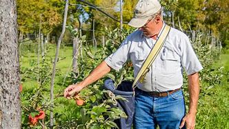Image result for Canadian Prairies Apple Farm