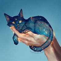 Image result for Anime Space Cat
