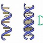 Image result for Caustic vs DNA