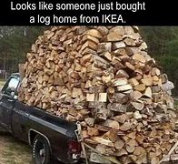 Image result for Timber Meme