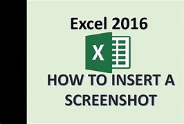 Image result for How to Save a Screen Shot in Excel