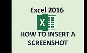 Image result for Microsoft Excel Screen Shot