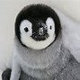 Image result for Penguin Cooling Case