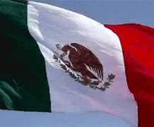 Image result for Mexican American Flag PNG