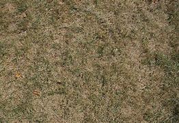 Image result for Free Blowing Dust Texture