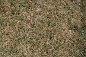 Image result for Ground Texture for Photoshop