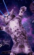 Image result for Cat Meme Galazy