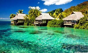Image result for Tropical Island Zoom Background