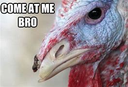 Image result for Scared Turkey Meme