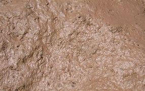 Image result for mud