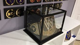 Image result for Championship Belt Case