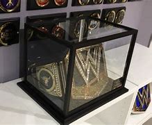 Image result for WWE Championship Belt Display Case