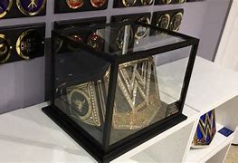 Image result for WWE Championship Case