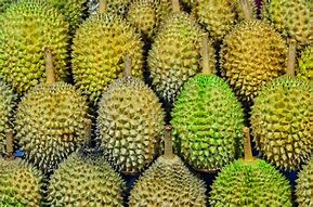 Image result for Green Fruit with Yellow Inside