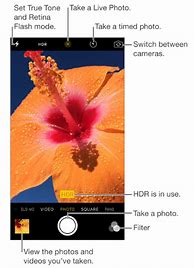 Image result for iPhone SE vs 11 Camera