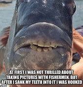 Image result for Fish with Teeth Meme
