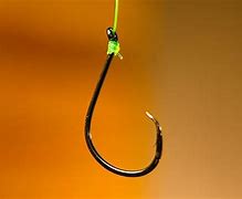 Image result for Tying a Snelled Hook