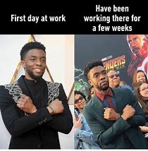 Image result for First Day Ofthe Job vs First Year in the Job Meme Dominie's