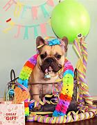 Image result for Bulldog Party