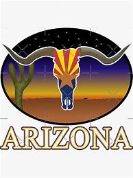 Image result for Arizona State Flag