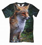 Image result for Shirt.Woot Fox