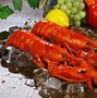 Image result for Lobster Claw Spring Clasp