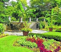 Image result for Flower Gardens in NJ