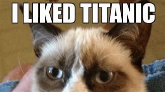 Image result for Grumpy Cat Memes Titanic