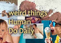 Image result for Weird Things Humans