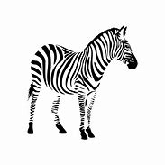 Image result for Angry Zebra SVG