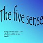 Image result for Five Senses Touch Worksheet