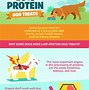 Image result for Low Protein Dog Food Brands