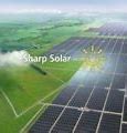 Image result for Sharp Solar Cell