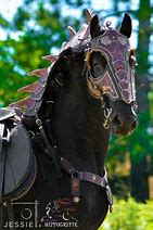 Image result for Armored Horse