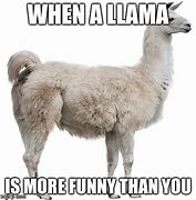 Image result for Funny Llama Memes