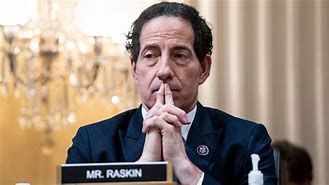 Image result for Raskin Congressman Bandana