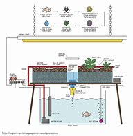 Image result for How Does Hydroponics System Work