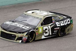 Image result for NASCAR 31