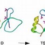 Image result for Protein Unfolding