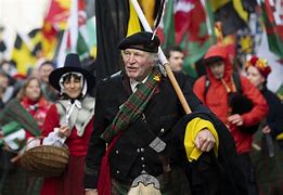 Image result for St. David's Day