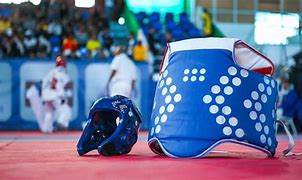 Image result for Tae Kwon Do Sparring Gear