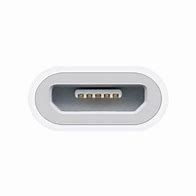 Image result for Female Lightning to Micro USB