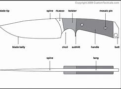 Image result for Fixed Blade Skinner Knife